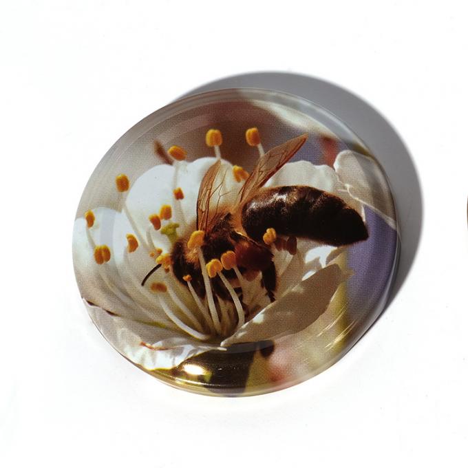 খাদ্য প্যাকেজ 20mm 38mm 48mm 63mm কাস্টম ডিজাইন গ্লাস বোতল জন্য মেটাল লগ ক্যাপ বন্ধ বাঁক 12